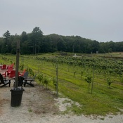 Photo submitted by Ann