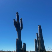 Photo submitted by Kaiya