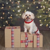 Photo submitted by Sarah