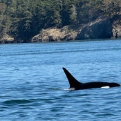 Photo submitted by Debbie