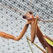 Photo submitted by Hugo