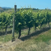 Photo submitted by Rachael