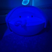 Photo submitted by Kimberly