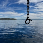 Photo submitted by drisana