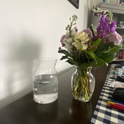 Photo submitted by Jo