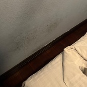 Photo submitted by Leysan