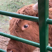 Photo submitted by Robn