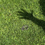 Photo submitted by Guest