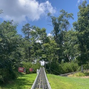 Photo submitted by Melissa