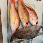 Photo submitted by Olya