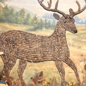 Photo submitted by Guest