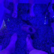 Photo submitted by Rachel