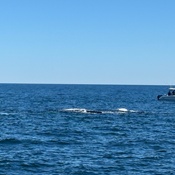 Photo submitted by Jennifer