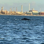 Photo submitted by Rich