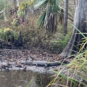 Photo submitted by Skyiesha