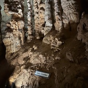 Photo submitted by Paul