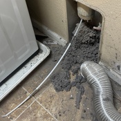 Photo submitted by Vietmy