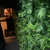 Photo submitted by Colette