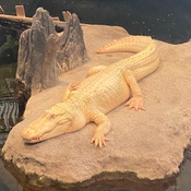 Photo submitted by Elvia