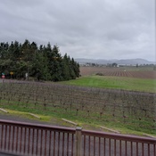 Photo submitted by Gursimran