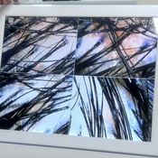 Photo submitted by Kinberly