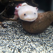 Photo submitted by Mercedes