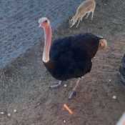 Photo submitted by Guest