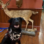 Photo submitted by Vincent