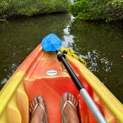 Photo submitted by Amanda