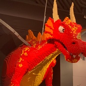 Photo submitted by Kelsey