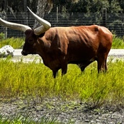 Photo submitted by Victoria