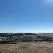 Photo submitted by Kayla