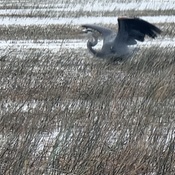 Photo submitted by Marisol