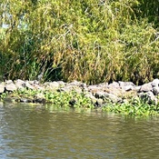 Photo submitted by Ann