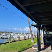 Photo submitted by Terry