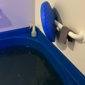 Photo submitted by Audrey