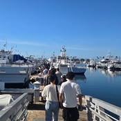 Photo submitted by kathi