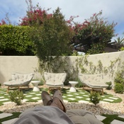 Photo submitted by Guest