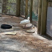 Photo submitted by Oanh