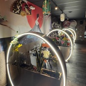 Photo submitted by Lynn