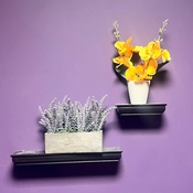 Photo submitted by Alicia