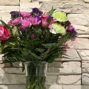 Photo submitted by Guest