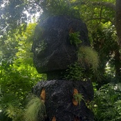 Photo submitted by Monique