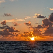 Photo submitted by Doug