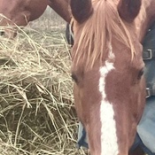 Photo submitted by Guest