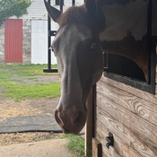 Photo submitted by Katherine