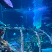 Photo submitted by Nora