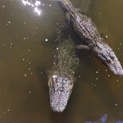 Photo submitted by Melissa