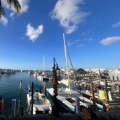 Photo submitted by Guest