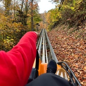 Photo submitted by Nina